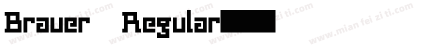 Brauer Regular字体转换